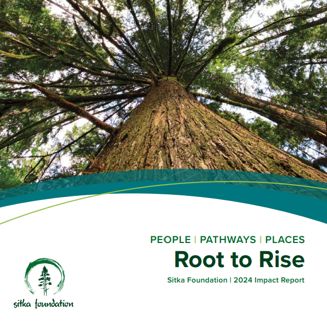 Root To Rise Image
