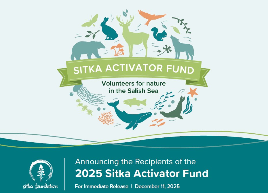 Screenshot 2025 12 11 084627